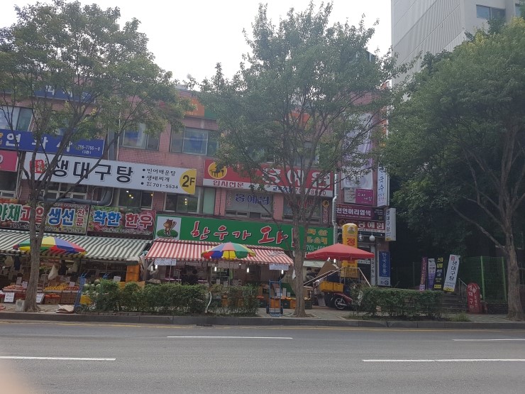 홍예원피아노교습소 이미지