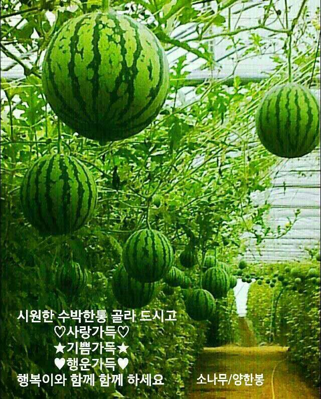 가가설비 이미지