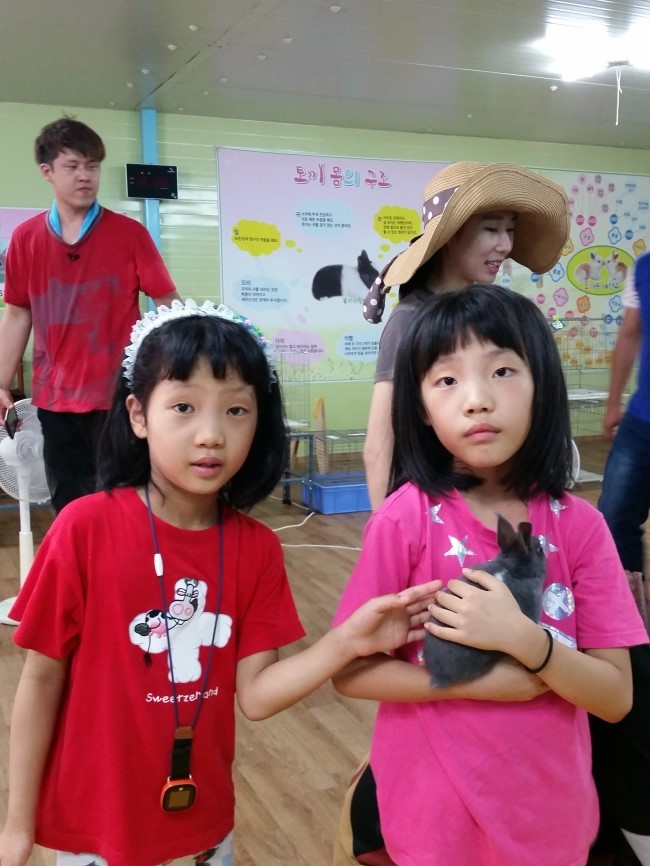 가자토끼나라 이미지