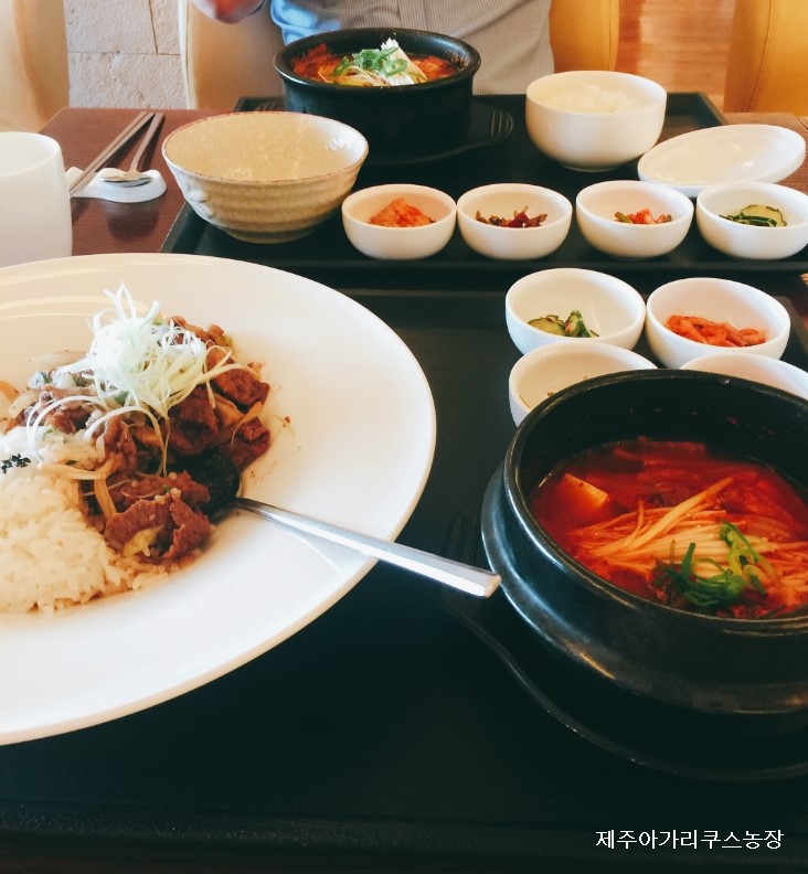 김상민아가리쿠스 이미지