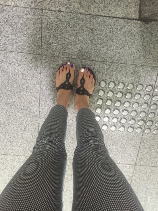 박디 이미지