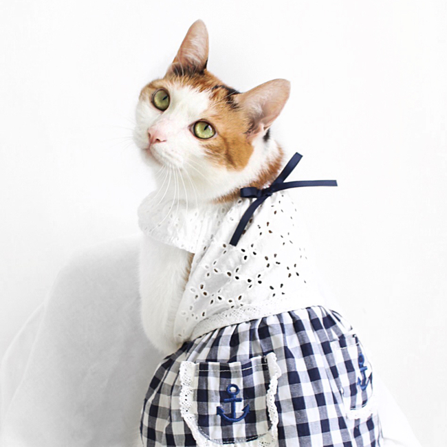 마린블루'S 이미지