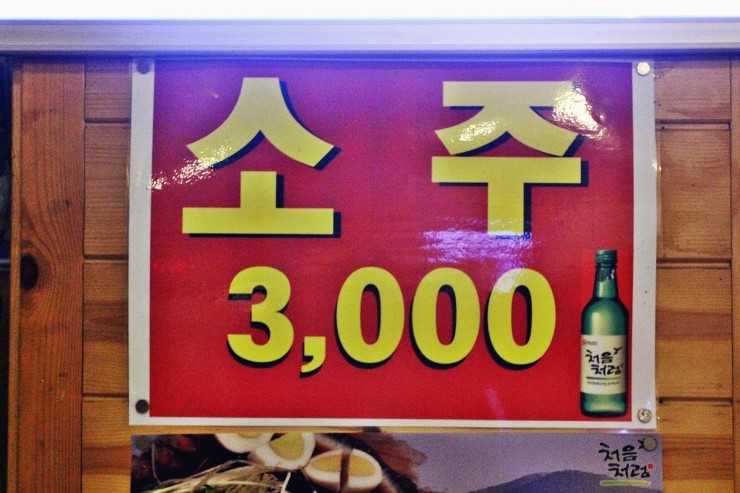 오징어세상 이미지