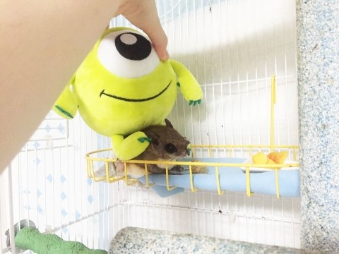 주식회사 가을하늘처럼 이미지
