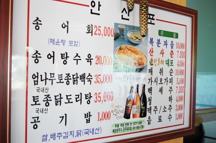 송어사냥 이미지