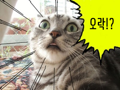뽑기이야기 이미지