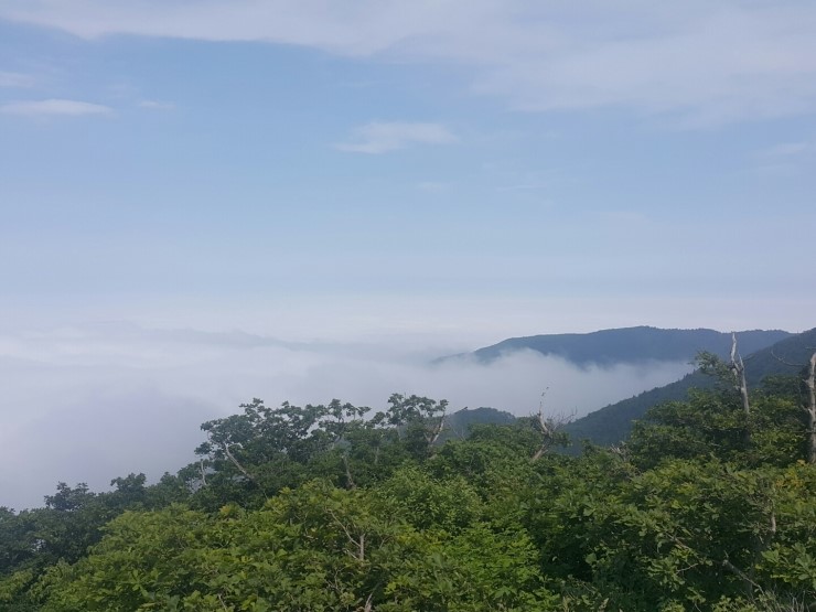 삼양여행사 이미지
