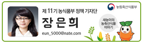 예마을 캠핑장 이미지