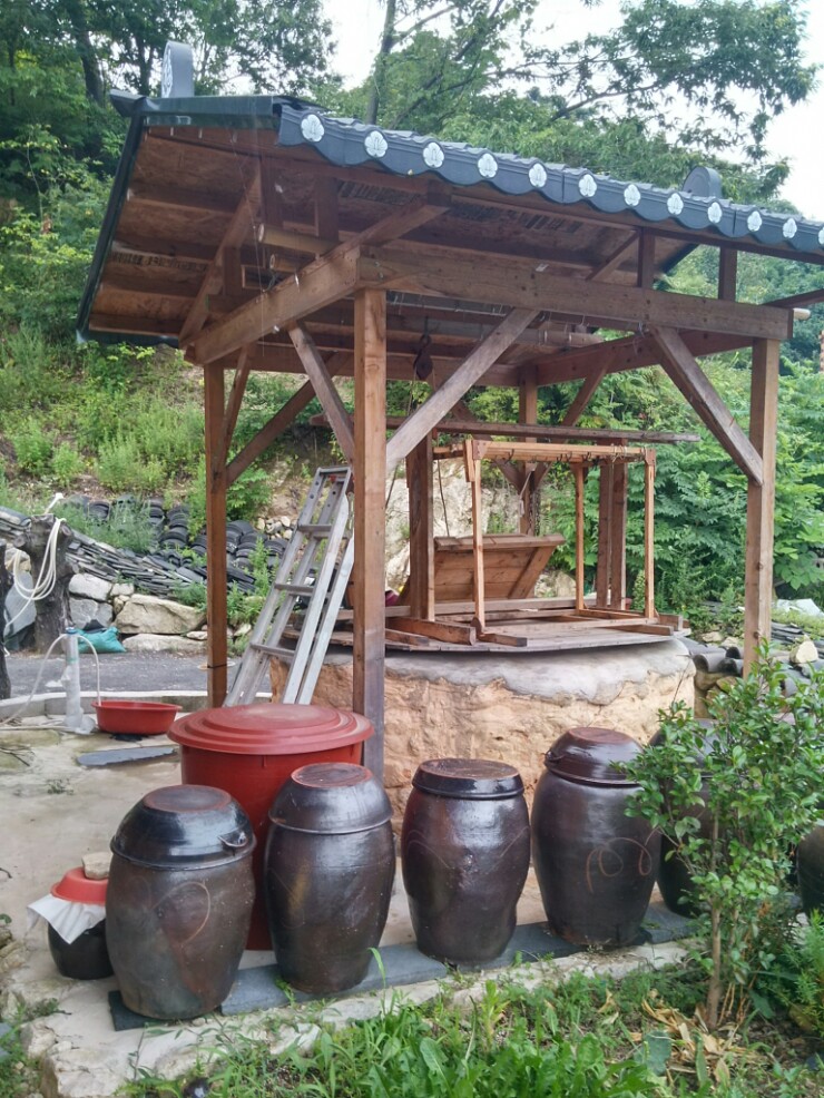 웃물가 이미지