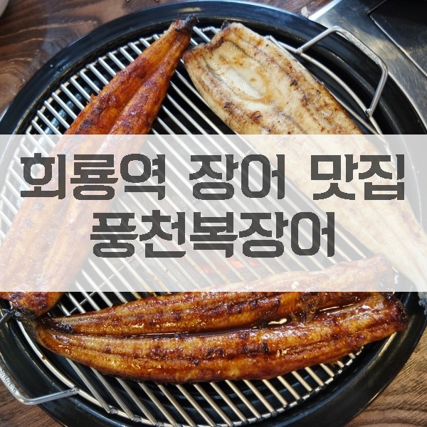 풍천복장어 이미지