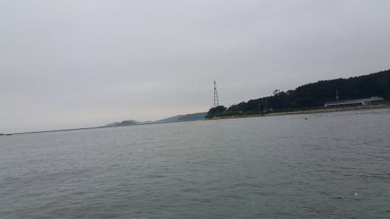 강통신 이미지