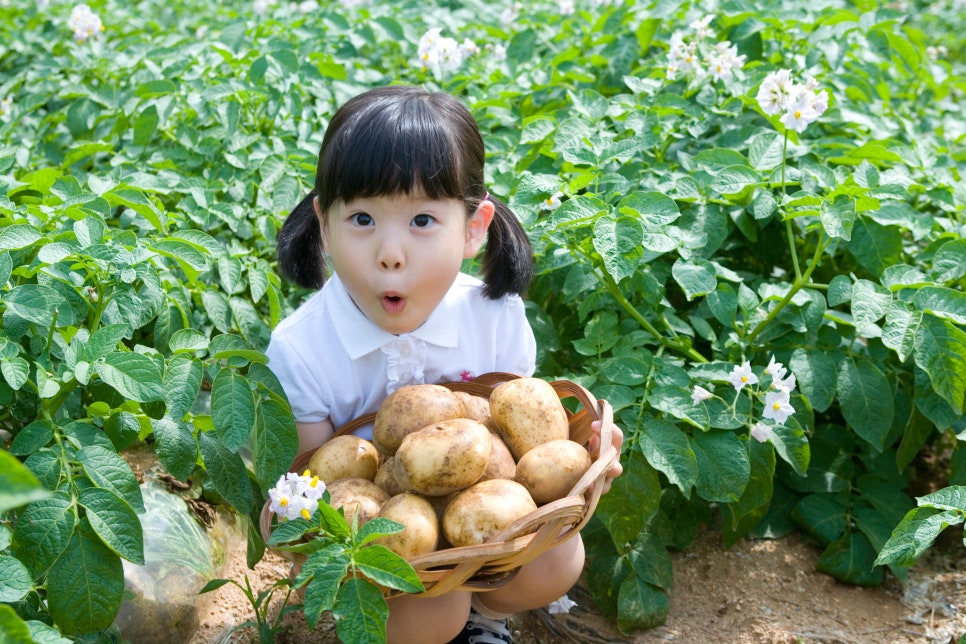 참시스템 이미지