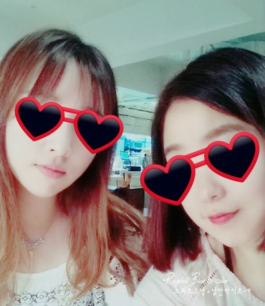 카페무설 이미지