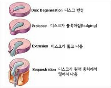 새봄한의원 이미지