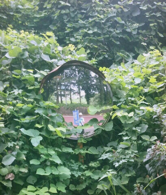 온:담 이미지
