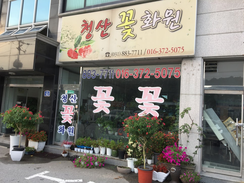 청산화원 이미지