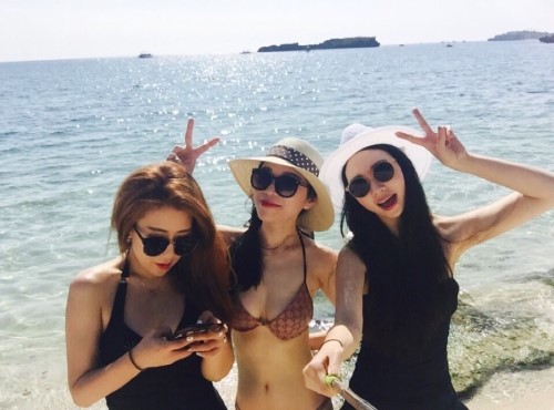 탐여행사 이미지