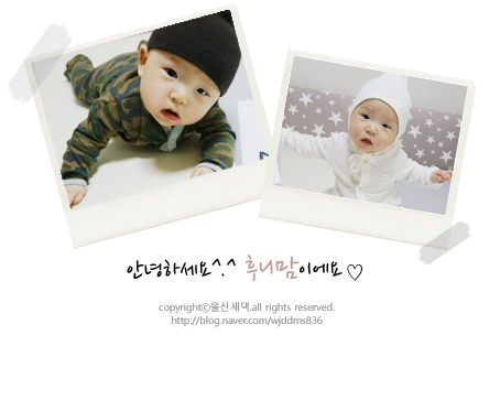 스펀지카니발랜드 이미지
