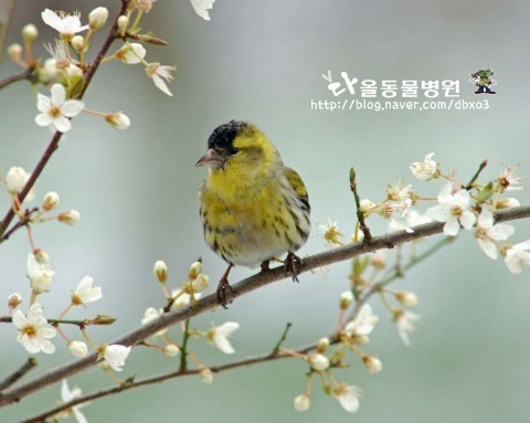 쭈잇 이미지