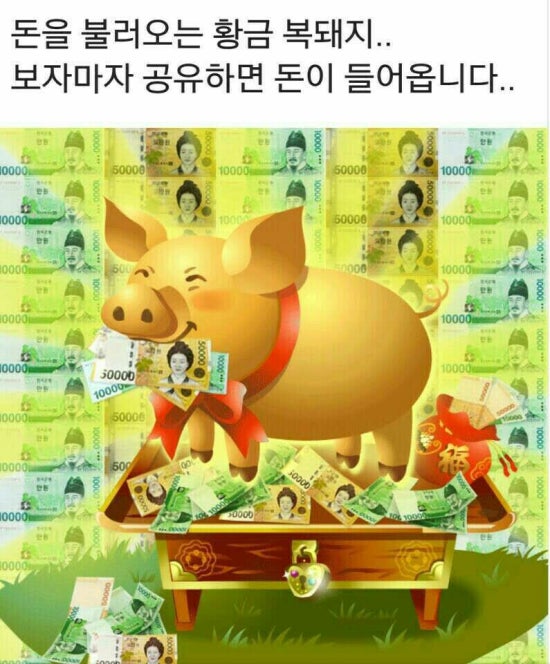 황금복돼지 이미지