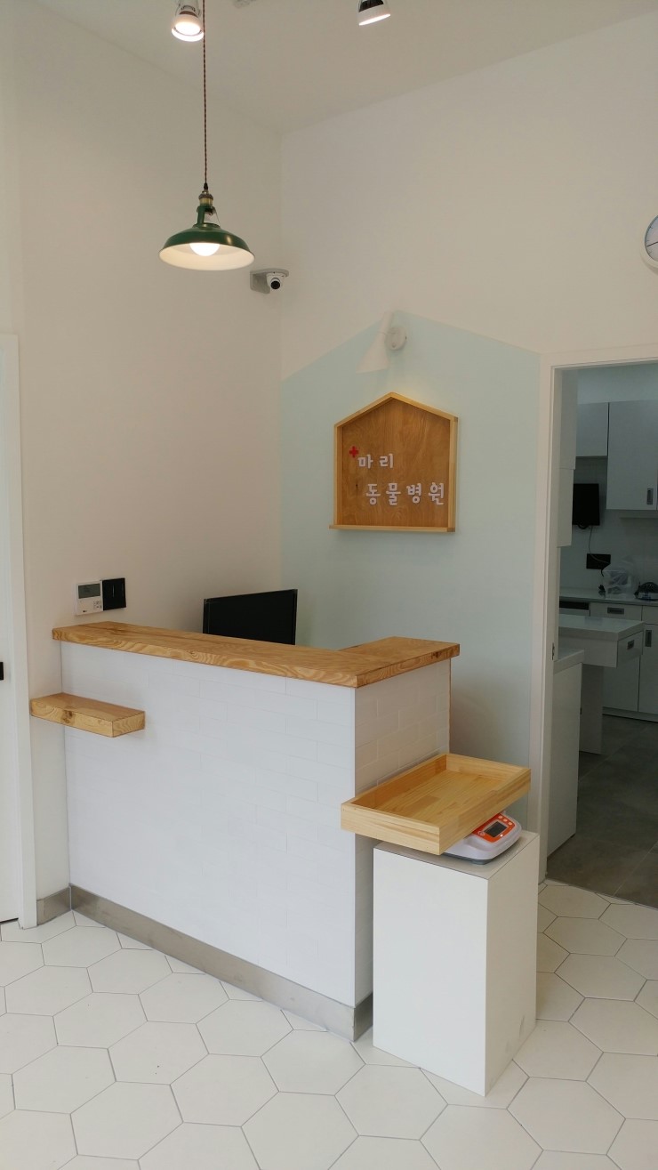 마리의디자인 이미지