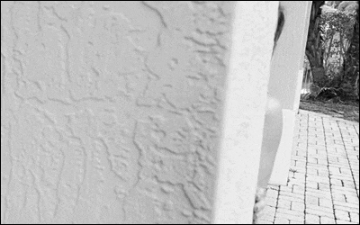 밤비 브룩스 / Bambi Brooks : 네이버 블로그