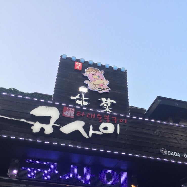 규사이 이미지