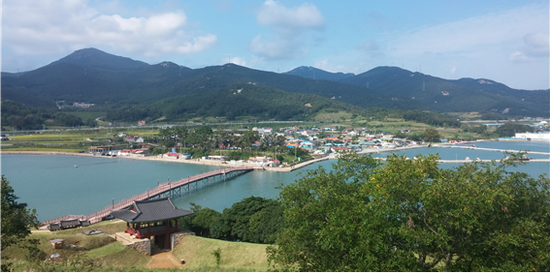 달구벌닷컴 이미지