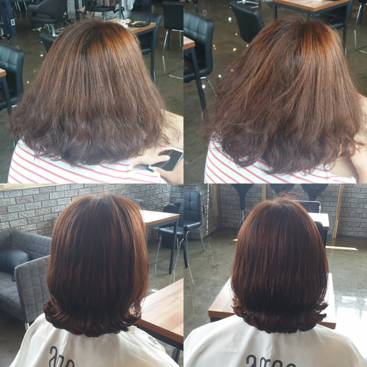 트레보헤어 이미지
