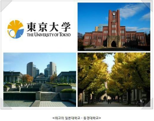장수 엽록소 이미지