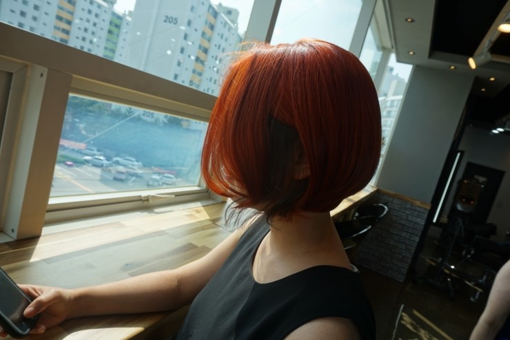 트레보헤어 이미지