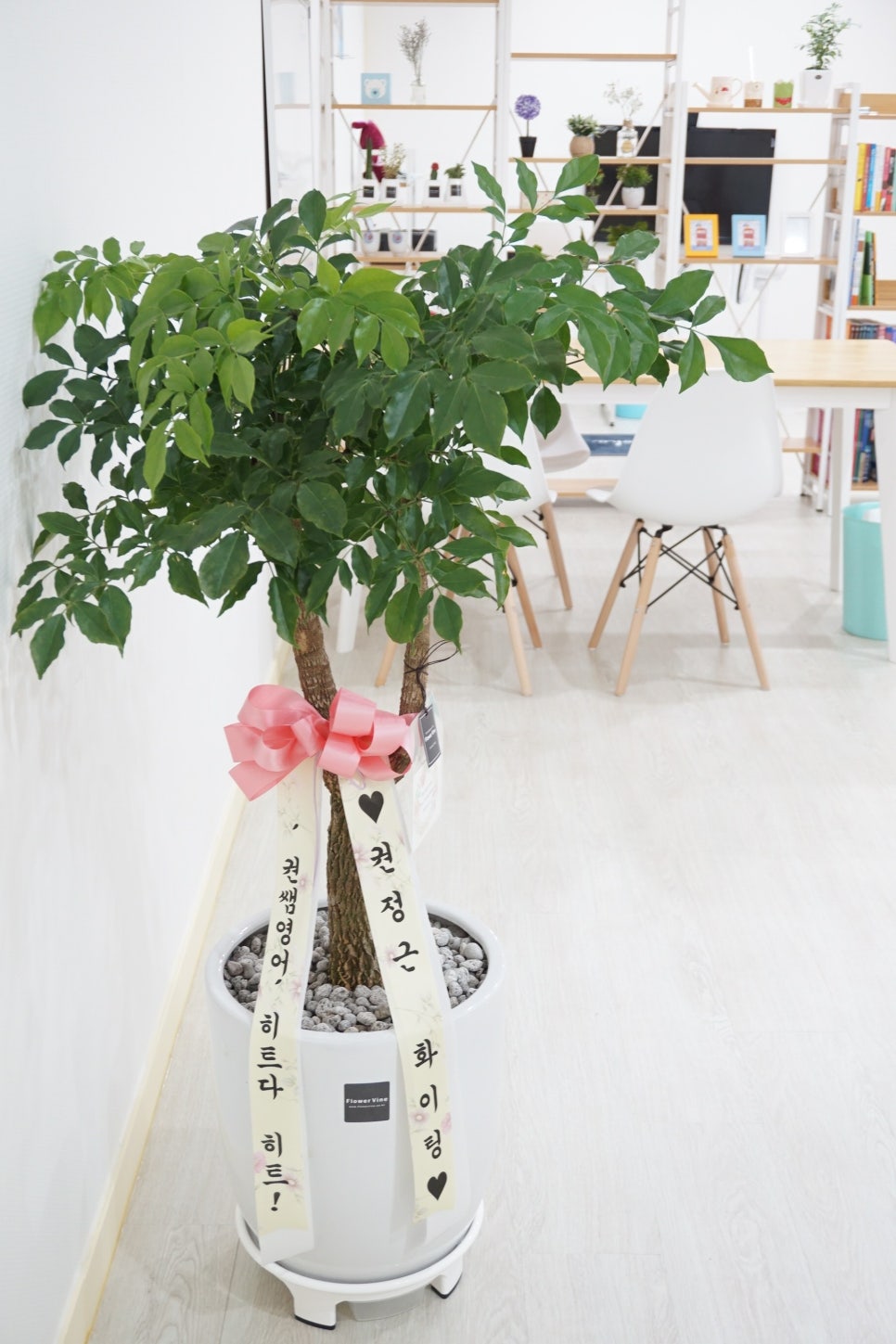 바인세라믹 이미지