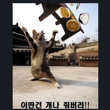 다크호스 이미지