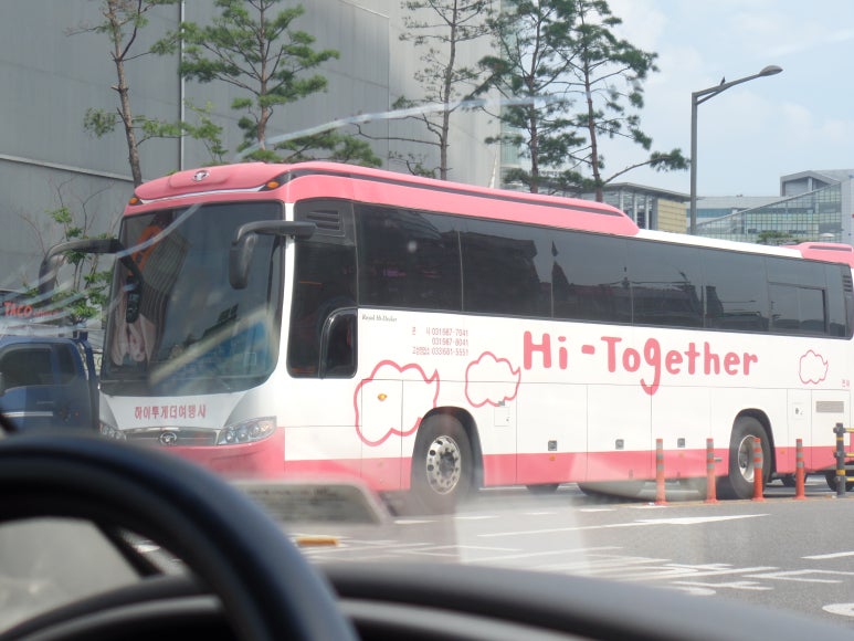 대우여행사 이미지