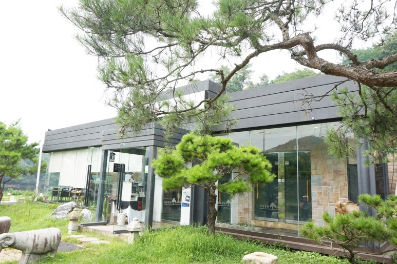 소나무향기 이미지