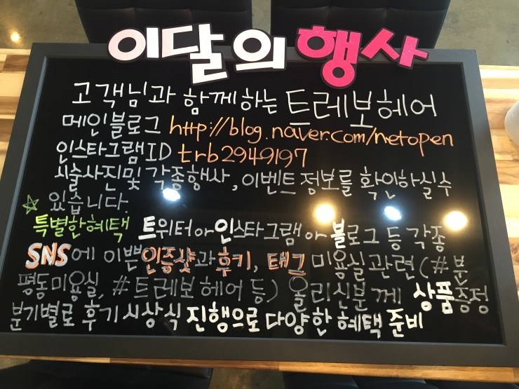 트레보헤어 이미지