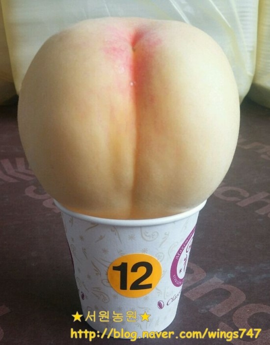 서원농원 이미지