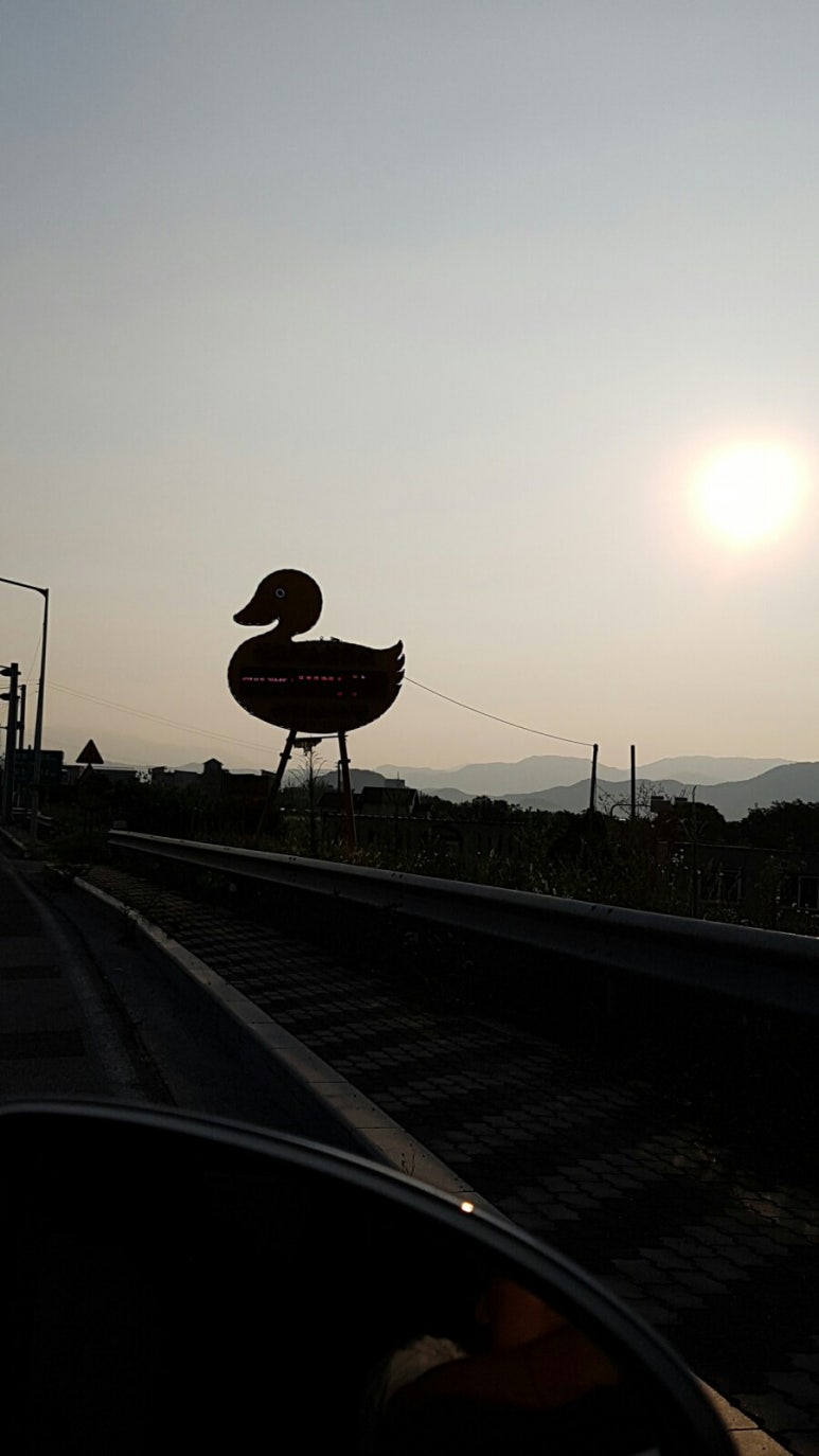 생오리마당 이미지
