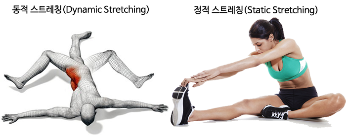 본스트레칭 이미지