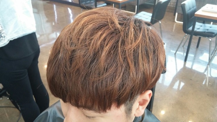 트레보헤어 이미지