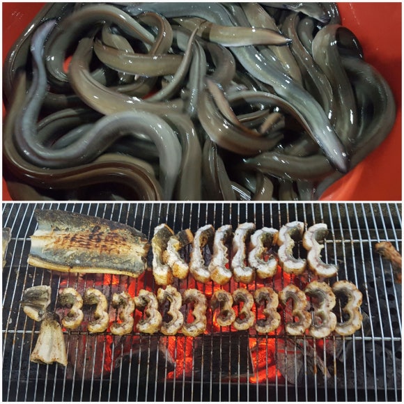 풍천장어수산 이미지