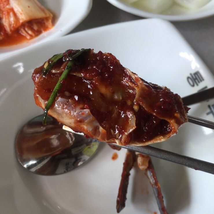 커피볶는 낭만곰 이미지