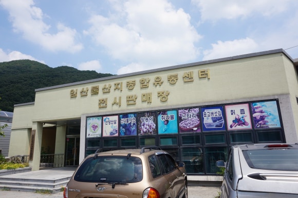 보령친환경버섯영농조합법인 이미지