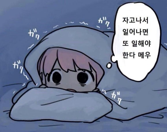 야행성 이미지