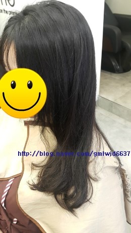 디토헤어 이미지