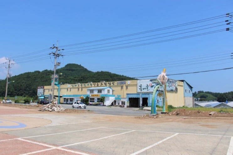 남해보물섬마늘영농조합법인 이미지