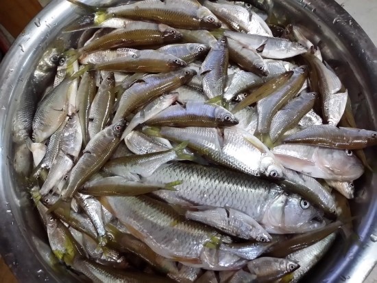 농다리천년사랑, 농다리민물매운탕집 이미지