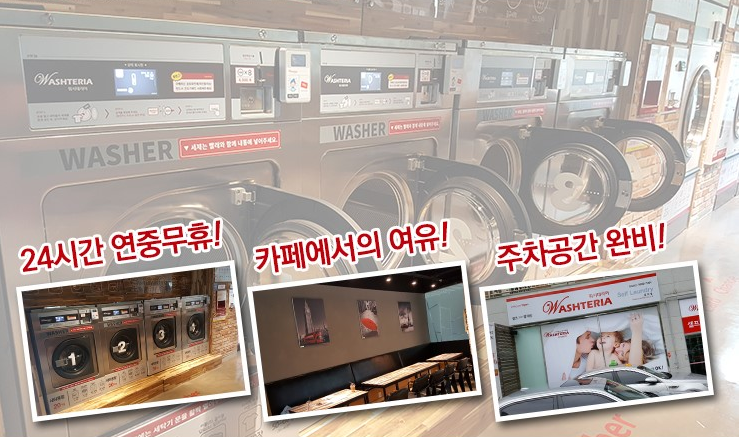 워시테리아전주 이미지