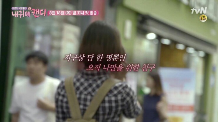 스타캔디 이미지