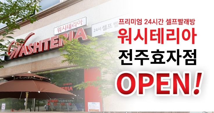 워시테리아전주 이미지
